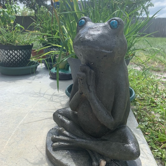 Meet your Posher, Catdog - Picture 16 of 16